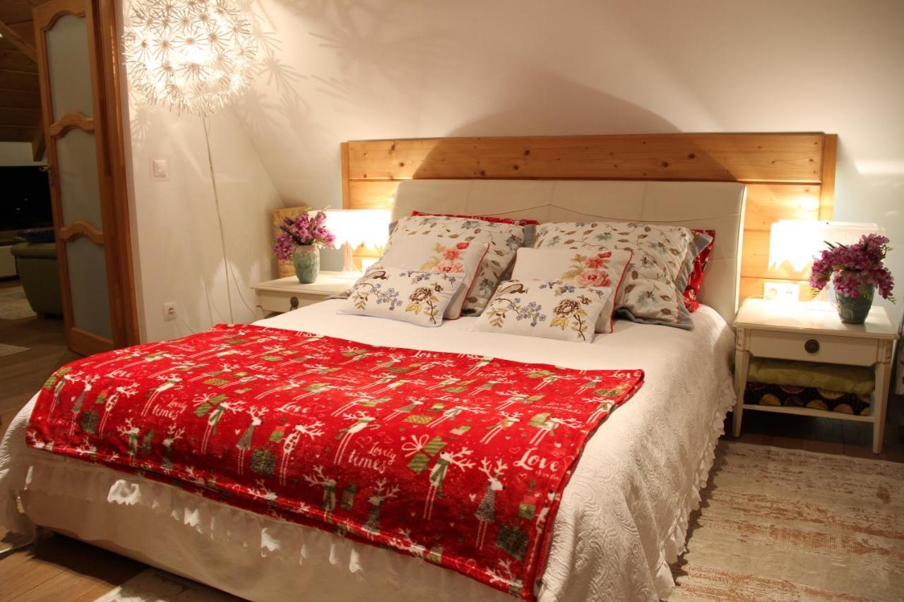 Rezydencja Tatry - Apartament Chamerion 1 ザコパネ エクステリア 写真