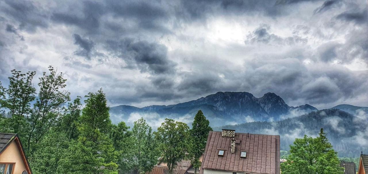 Rezydencja Tatry - Apartament Chamerion 1 ザコパネ エクステリア 写真