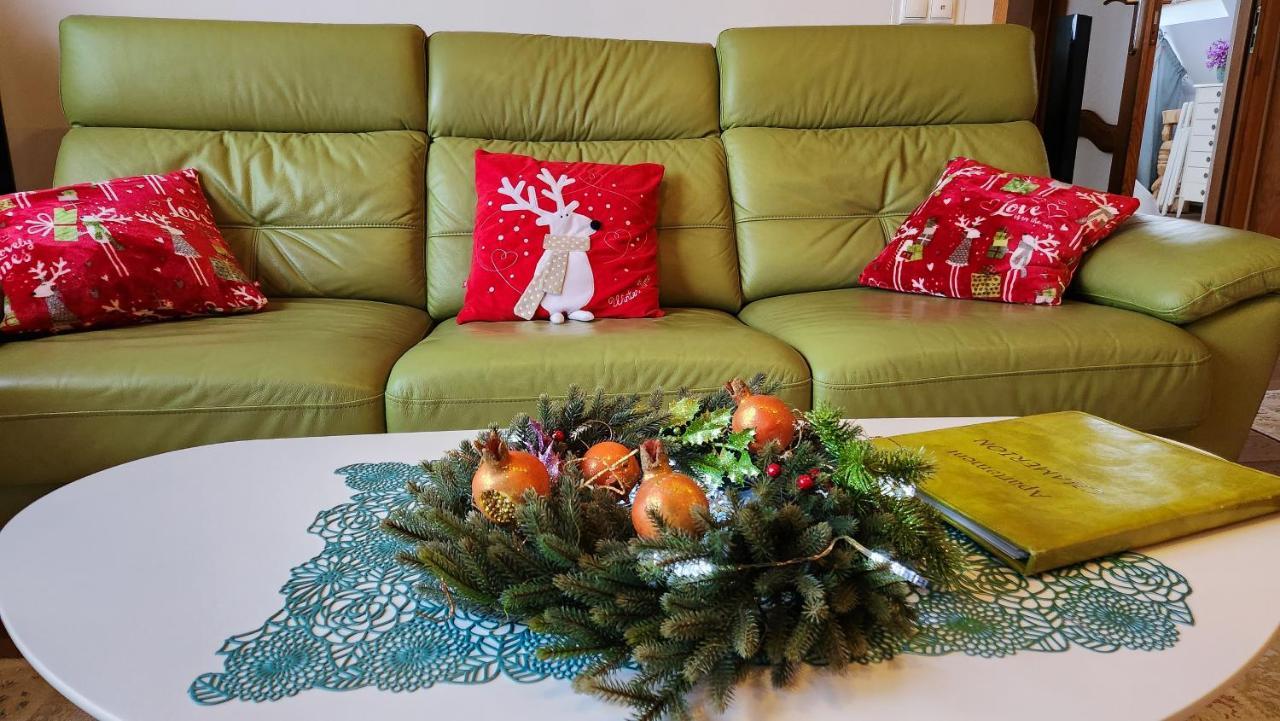 Rezydencja Tatry - Apartament Chamerion 1 ザコパネ エクステリア 写真